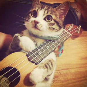 av免费网站无码
